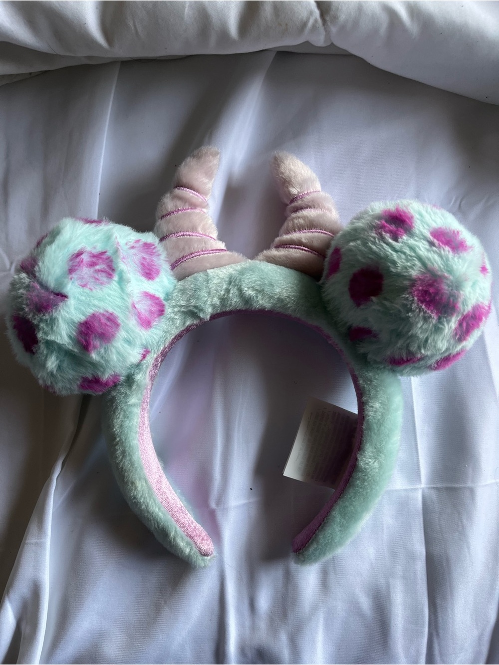 Disneyland Sully ears